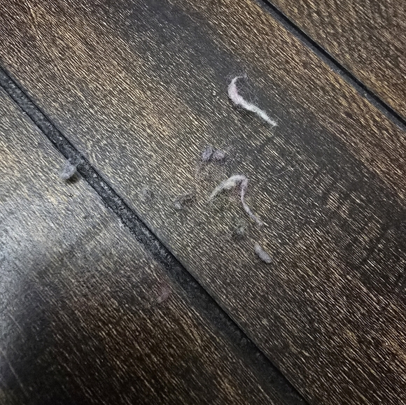 Talbots Women Sweater Pom Pom Crew Neck Petite Small Button Back - Picture 12 of 12